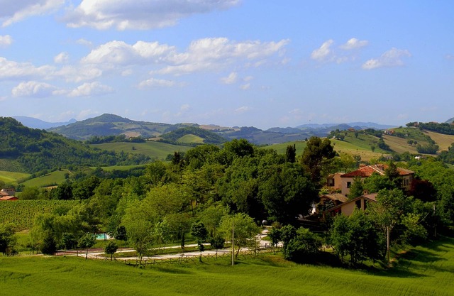Independent apartment in a farmhouse of a winery.