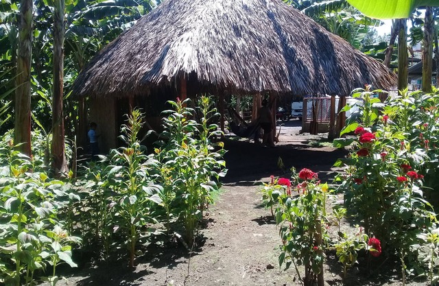 Inn Hospedaje BullShark