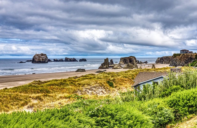 Inviting dog-friendly studio with unobstructed ocean views