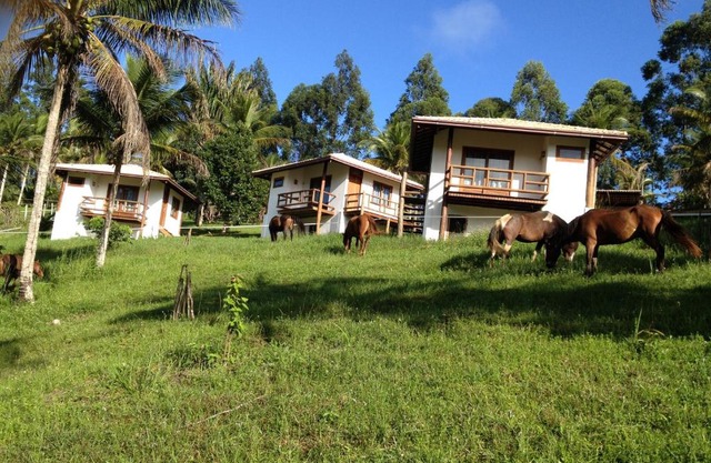 Itacaré EcoRanch
