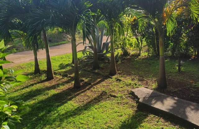 Jacoway Inn Gardenia Studio - open garden view, peace, privacy and relaxation