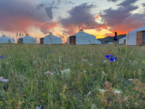 Jalman Meadows Wilderness camp
