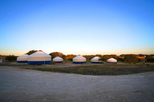 Johnny Yurts - The Pearl