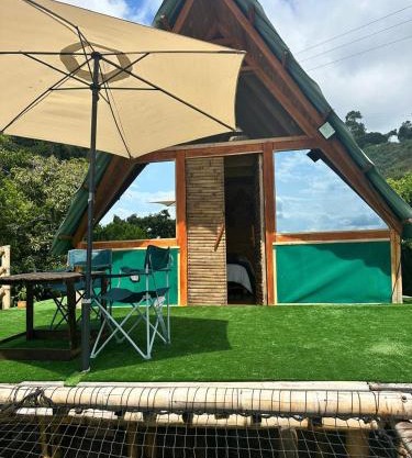 JUNGLAMP-Conexión con la naturaleza
