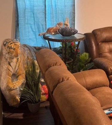 Jungle Paradise close to everything in town