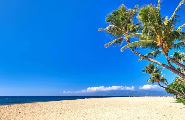 KBM Resorts | Spacious 3-Bedroom Honua Kai Collection | Multi Unit Listing | Same Floor | Ocean Views + 2 Free Rental Cars! HKK-922/26