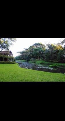 Kenya Kapsimotwa Gardens