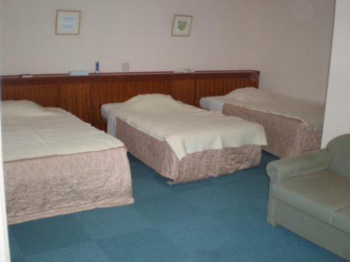 Kikai Daiichi Hotel - Vacation STAY 30386v