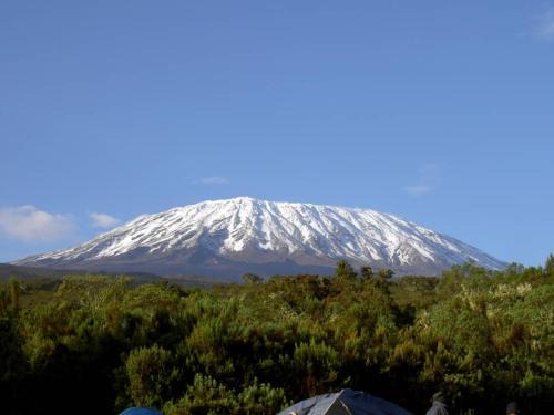 KILIMANJARO HOME OF RASON