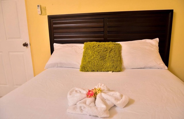 Kingston Sunset Guest Apartment I