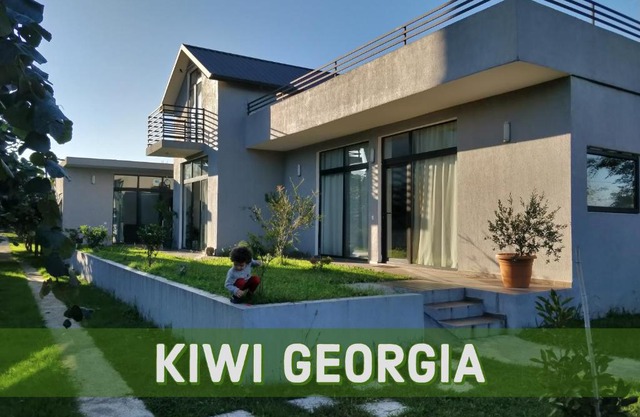 Kiwi Georgia