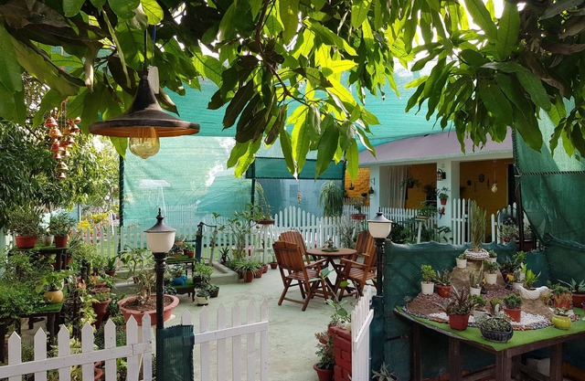 Koko's Farm