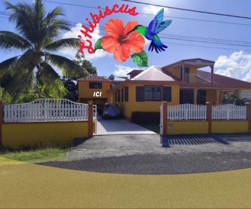 L'hibiscus