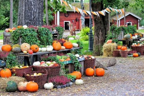 La Cachette - Vacation STAY 25475v