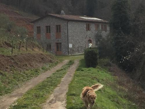 La Difesa