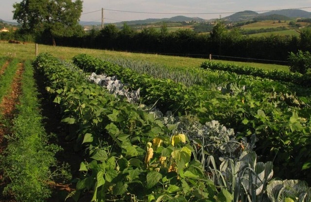 La Ferme Du Chapi