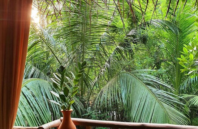 LA PAILLOTE