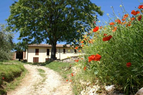 La Perticara Agriturismo