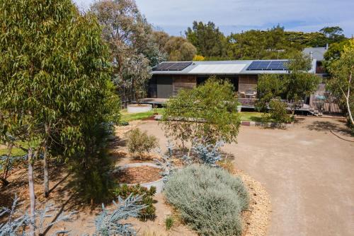 Lady Abigail in Flinders
