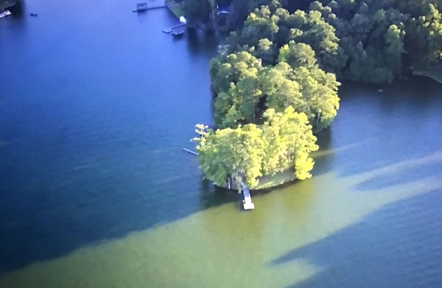 LAKE MARTIN CABIN