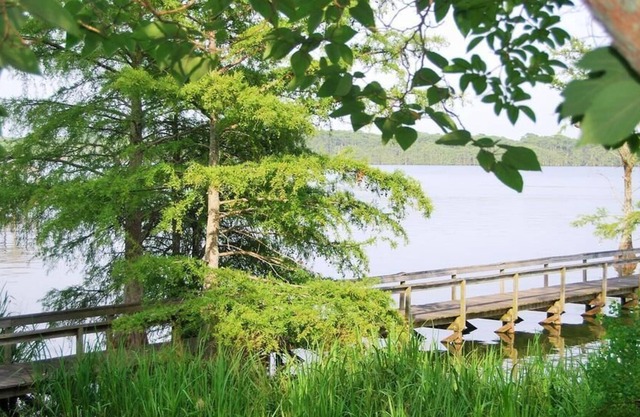 Lake St John Tranquil Escape