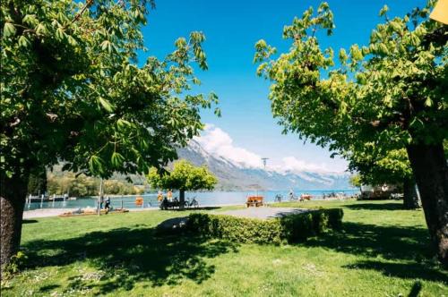 Lakeside Olti Apartment near Interlaken