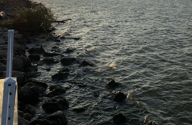 Lakeside Paradise with Priceless Views - close to Toledo