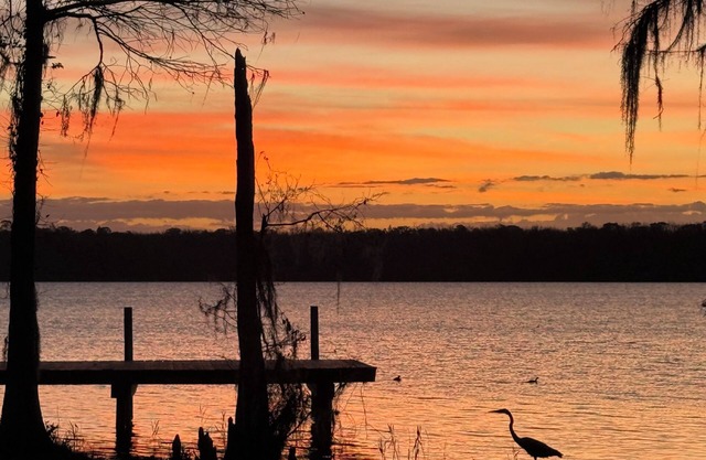 Lakin’ It Easy- House on the Beautiful Lake Jackson in Florala, AL