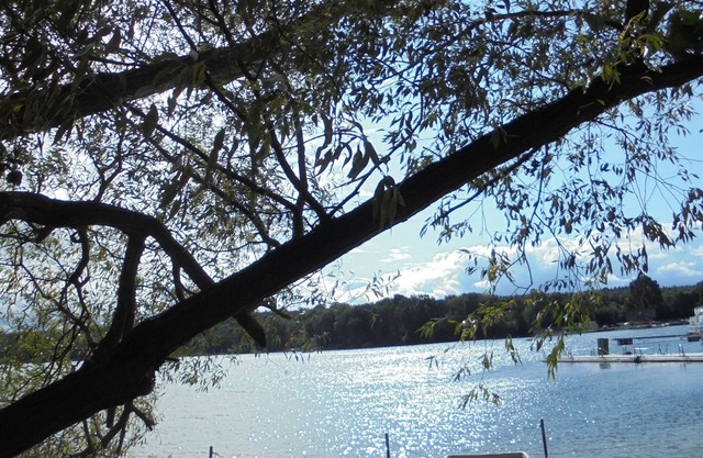 Landhaus Fischersruh am PlauerSee cozy vacation home private beach rowing boat fishing