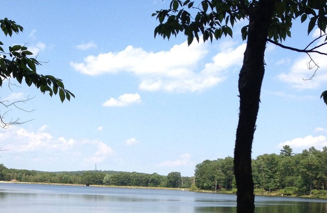 Large, Beautiful, Secluded LAKEFRONT house with HOT TUB. Private Lake Community