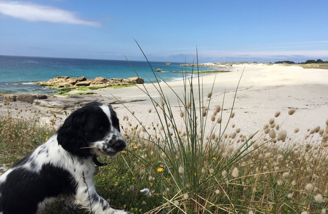 Large house by the water in Lesconil