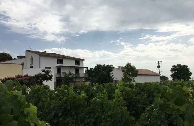 Large house in the heart of organic vineyards