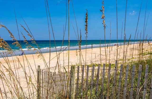 Large, Pet-Friendly Home w. Private Pool, Walk to the Beach