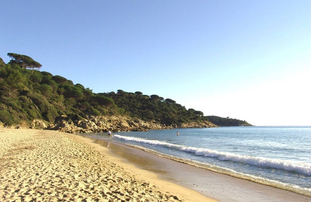 Large Studio appartment Croix Valmer - 2 minutes from Gigaro Beach - Greatk Trek - Near Saint Tropez