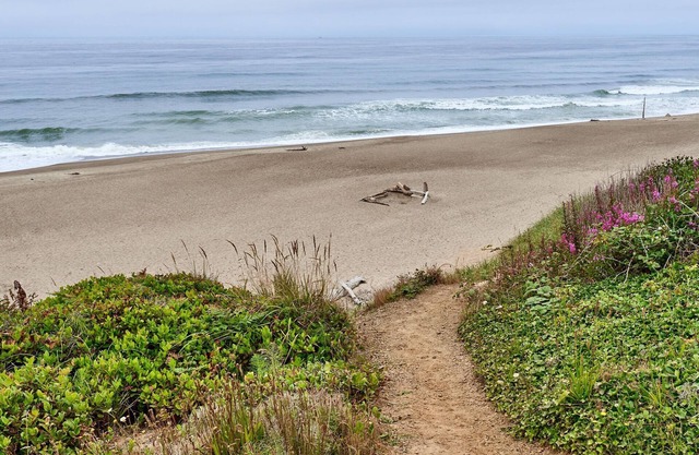 Large Vacation Home,10bd/8ba Beach Unique Whale Watching from beach