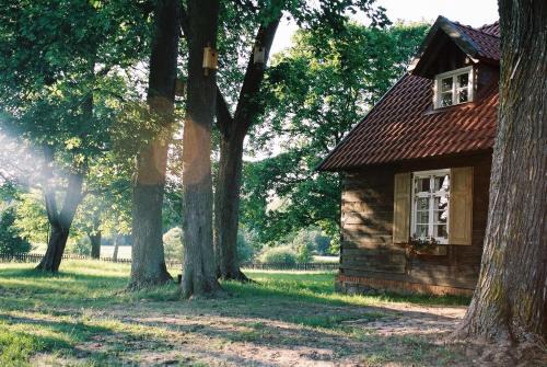 Leśne Apartamenty w Borach Tucholskich