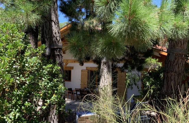 Le Cap Ferret between Bassin et Océan Villa 4 bedrooms