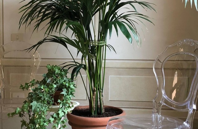 Le Case di San Vitale