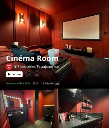 LE CINÉ-ROOM, T2, Netflix, Prime, Hyper-centre