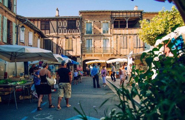 Le Cocon Floral - Hypercentre et bord du Tarn à 5 min de Gaillac