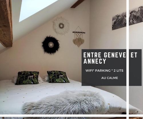 Le Trèfle proche de Genève et Annecy