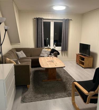 Leilighet med 3 soverom nær sentrum