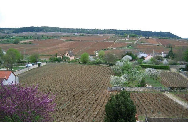 Les Meix sous le Château