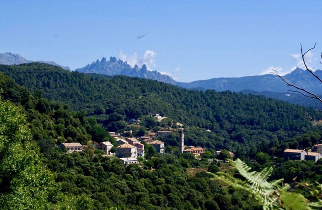 LEVIE 30km from Propriano, House in the heart of the village, air conditioning