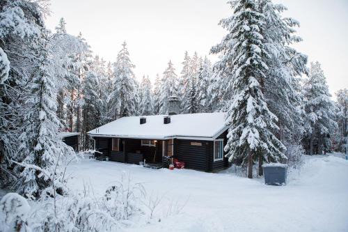 Levikoto 3 B Visit Levi