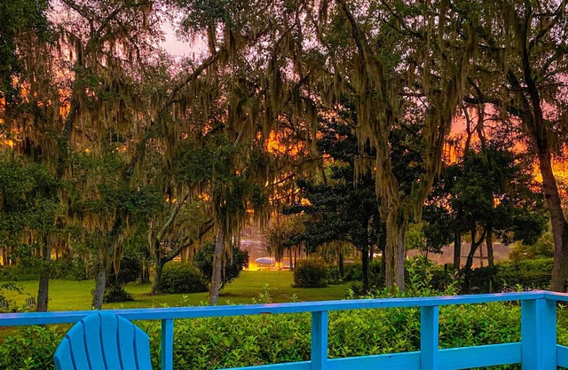 Lily Lake Retreat, Cozy and quiet - the perfect getaway