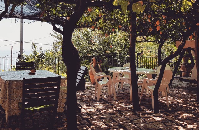 Limoneto degli Angeli, authentic Amalfi Coast experience among the lemon trees
