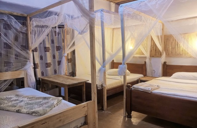 Little Monkey Camp