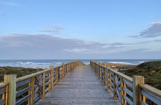 Lively Beach