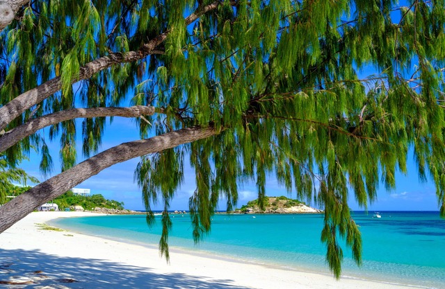 Lizard Island Resort
